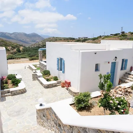 οasis *
